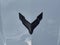 2024 Chevrolet Corvette Stingray Stingray Coupe 2LT