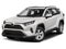 2019 Toyota RAV4 XLE Premium FWD (Natl)